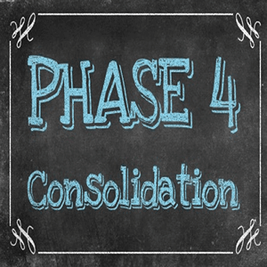 Phonics Phase 4: Consolidation